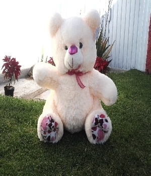 Imagen de Oso de peluche brandon tercero numero 0