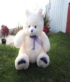Imagen de Oso de peluche brandon violeta numero 0