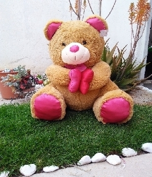 Imagen de Oso de peluche café grande con patas rosas 70 cms numero 0