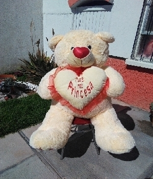 Imagen de Oso de peluche dany gigante 1.20 m bordado numero 0