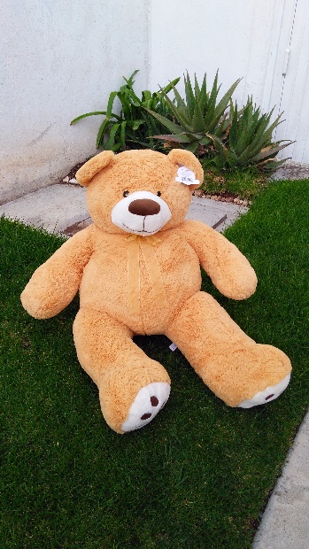 Imagen de Oso de peluche gigante 1.20 m