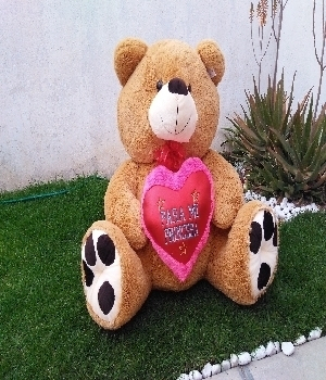 Imagen de Oso de peluche gigante gordo café menor numero 0
