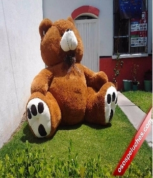 Imagen de Oso de peluche gigante mega jumbo numero 0