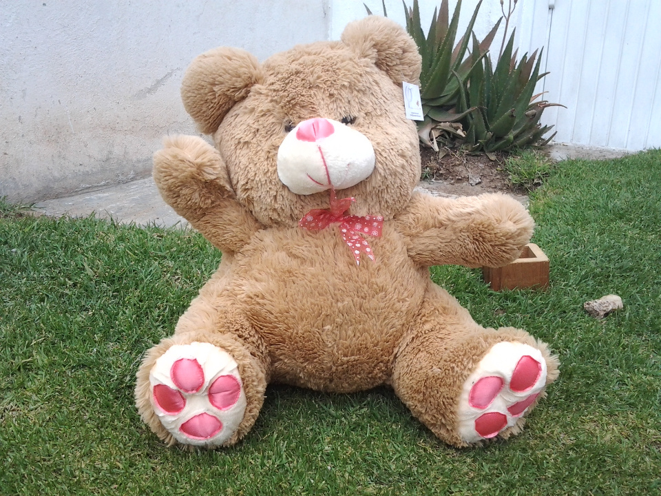 Imagen de Oso de peluche grande café 50 cms numero 1