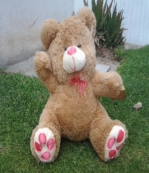 Imagen de Oso de peluche grande café 50 cms numero 0