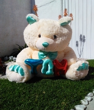 Imagen de Oso de peluche huellas azul verdes another kind numero 0