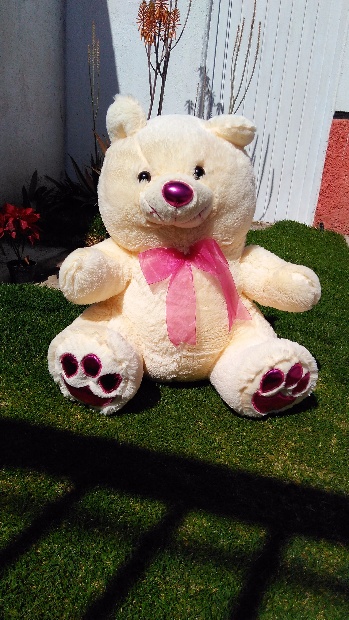 Imagen de Oso de peluche huellas y moño numero 1