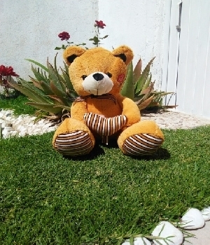 Imagen de Oso de peluche kiss me café numero 0
