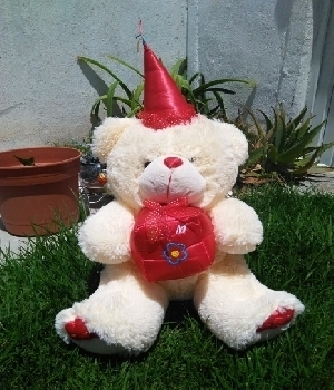 Imagen de Oso de peluche mago gorro rojo 65x40cms numero 0