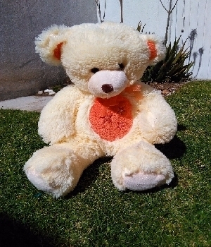 Imagen de Oso de peluche pansa bordada numero 0
