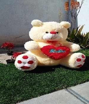 Imagen de Oso patas rojas con corazón numero 0