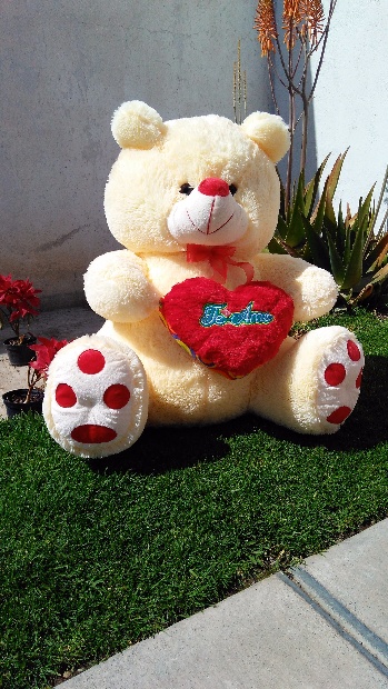 Imagen de Oso patas rojas con corazón numero 2