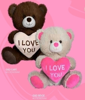 Imagen de Oso ted de peluche 26 cms numero 0