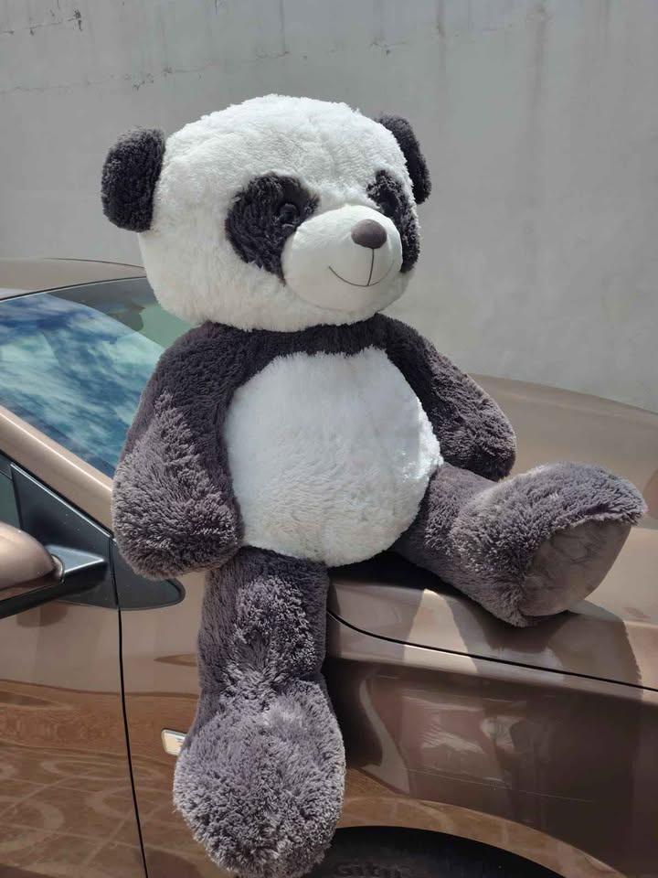 Imagen de Panda De Peluche Gigante 110 cm Medida Real