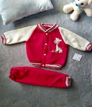 Imagen de Pants y chamarrita para bebe numero 0