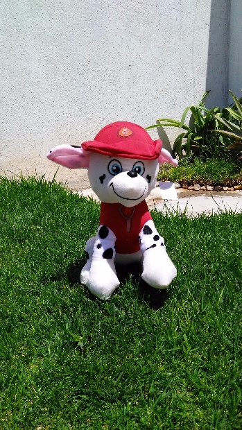 Imagen de Paw Patrol Bombero numero 1