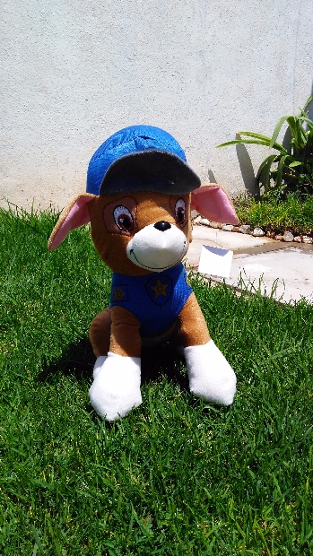 Imagen de Paw Patrol Policia numero 1