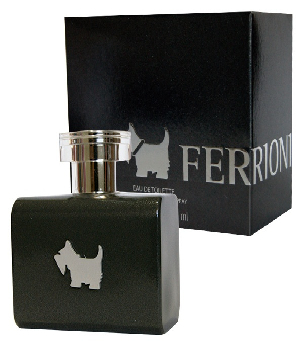 Imagen de Perfume Ferrioni Grey Caballero 100 ml EDT