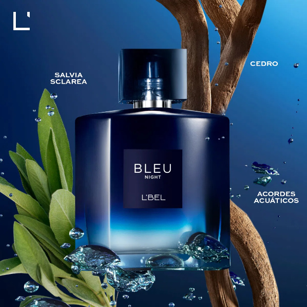 Imagen de Perfume para hombre Bleu Intense Night 100 ml LBEL numero 2