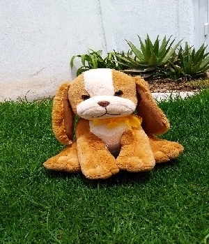 Imagen de Perrita pily de peluche numero 0