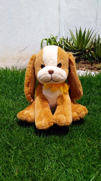 Imagen de Perrita pily de peluche numero 1