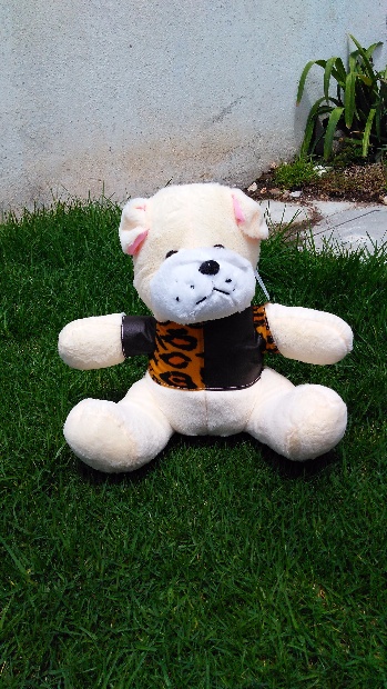 Imagen de Perro bull dog con playera numero 1