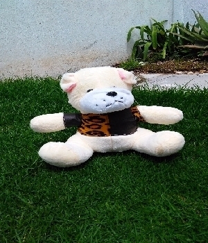 Imagen de Perro bull dog con playera numero 0