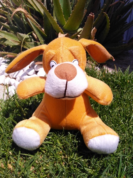 Imagen de Perro de peluche economico para eventos numero 1