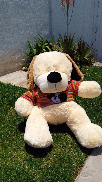 Imagen de Perro de peluche grande con playera numero 1