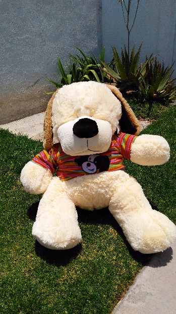 Imagen de Perro de peluche grande con playera numero 2