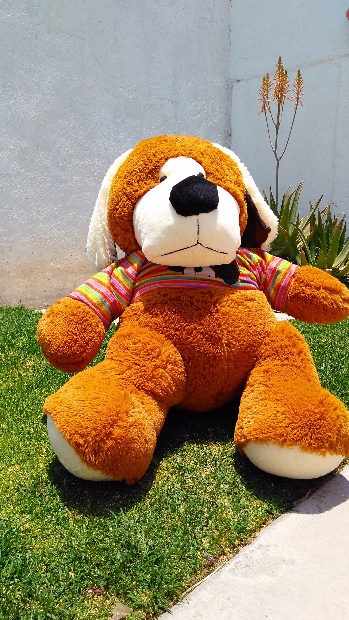 Imagen de Perro de peluche grande con playera II numero 1