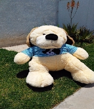 Imagen de Perro de peluche grande con playera II numero 0