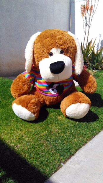 Imagen de Perro de peluche playera numero 2