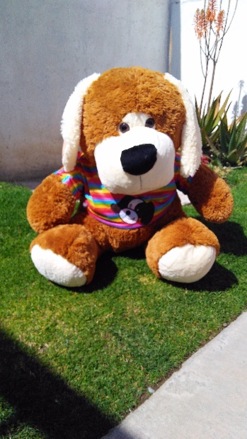 Imagen de Perro de peluche playera numero 1