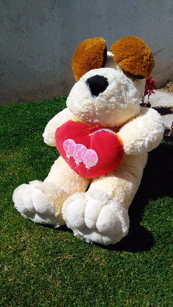 Imagen de Perro de peluche rufo numero 1