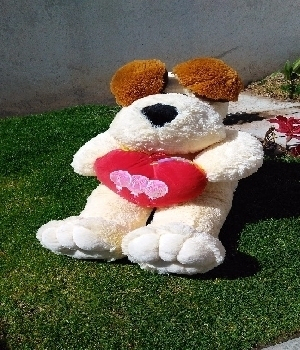 Imagen de Perro de peluche rufo numero 0