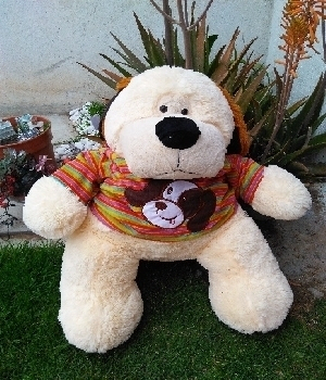 Imagen de Perro gigante con playera tercero 115 cms numero 0