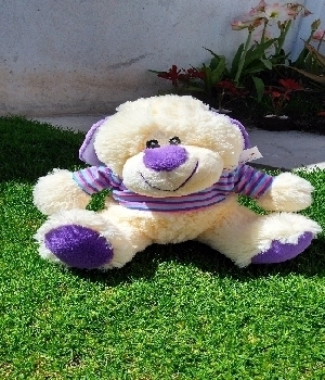 Imagen de Perro sudadera de peluche numero 0