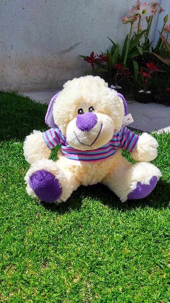 Imagen de Perro sudadera de peluche numero 1