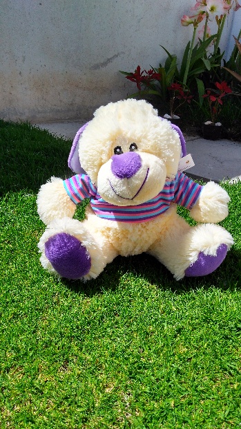 Imagen de Perro sudadera de peluche morado numero 2