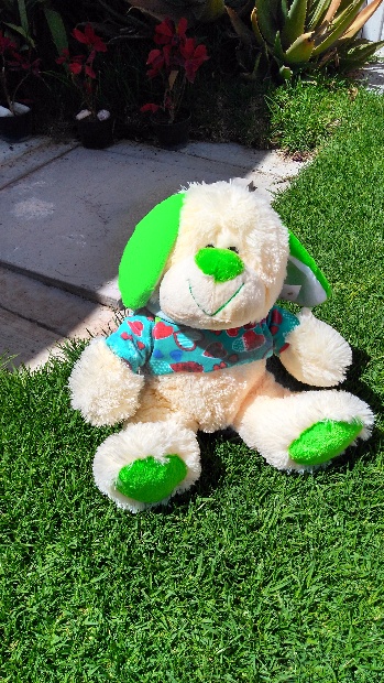Imagen de Perro sudadera de peluche verde numero 1
