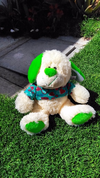 Imagen de Perro sudadera de peluche verde numero 2