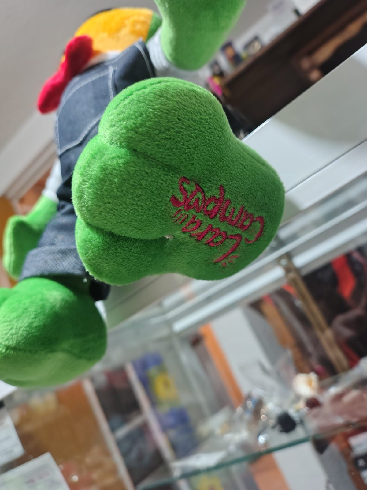 Imagen de Rana René de Peluche con Bordado Lara Campos numero 2