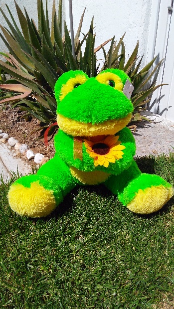 Imagen de Rana girasol grande 55 cms numero 1