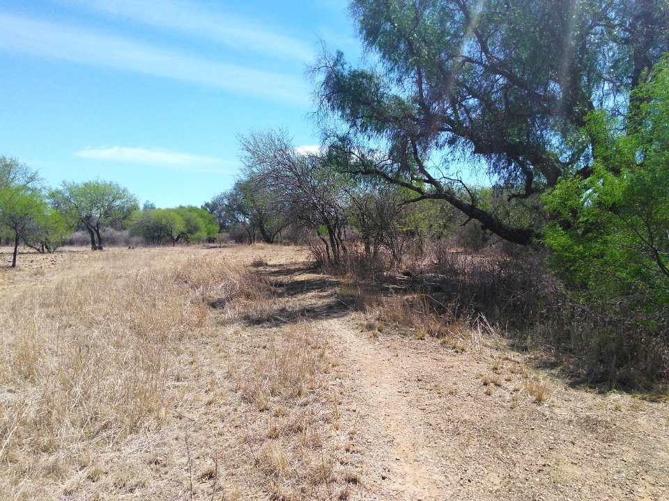 Imagen de Terreno Rancho de 4.6 hectareas pegado al municipio de San Pedro Zacatecas numero 2