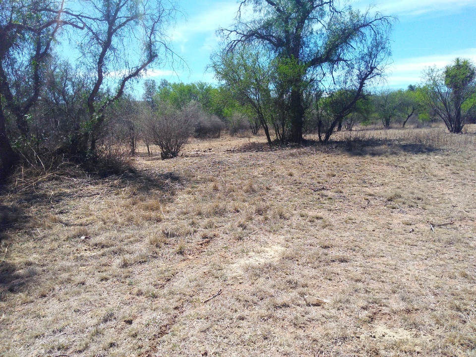 Imagen de Terreno Rancho de 4.6 hectareas pegado al municipio de San Pedro Zacatecas numero 3